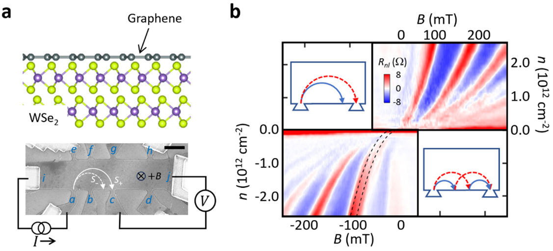 Machine Learning Study of the Magnetic Ordering in 2D Materials