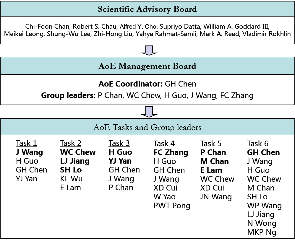 Advisory Board